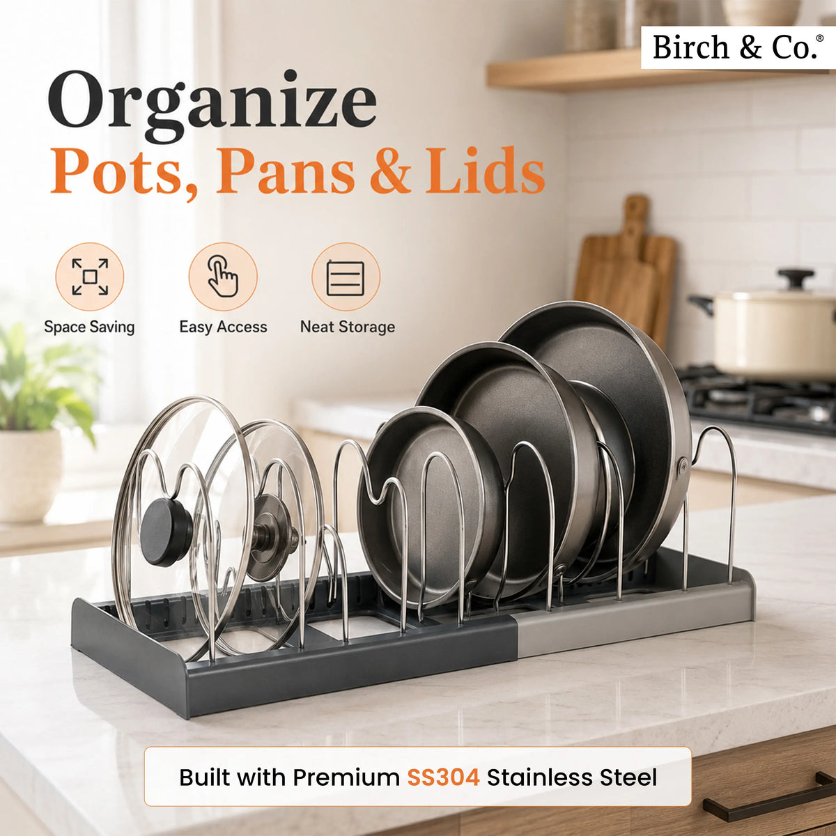Expandable Dish Rack Organizer for Kitchen