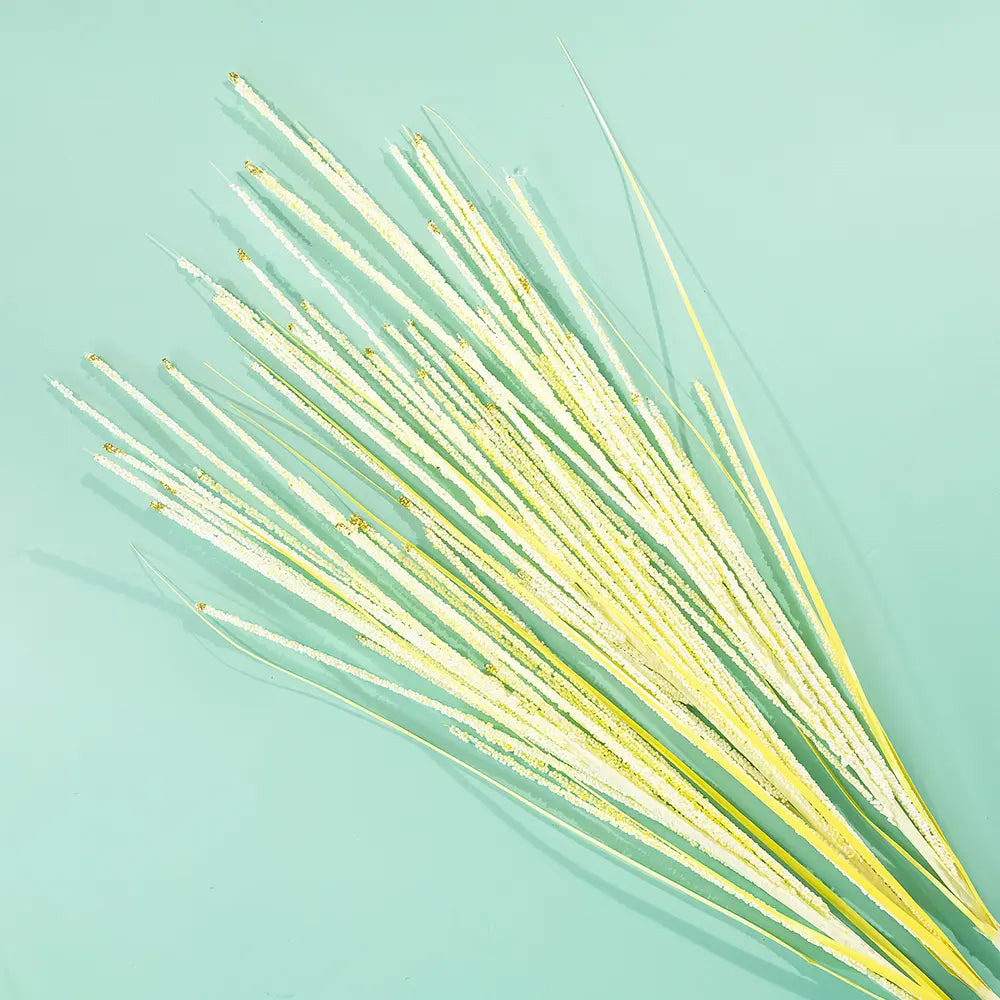 Bead pampas grass - Light Yellow