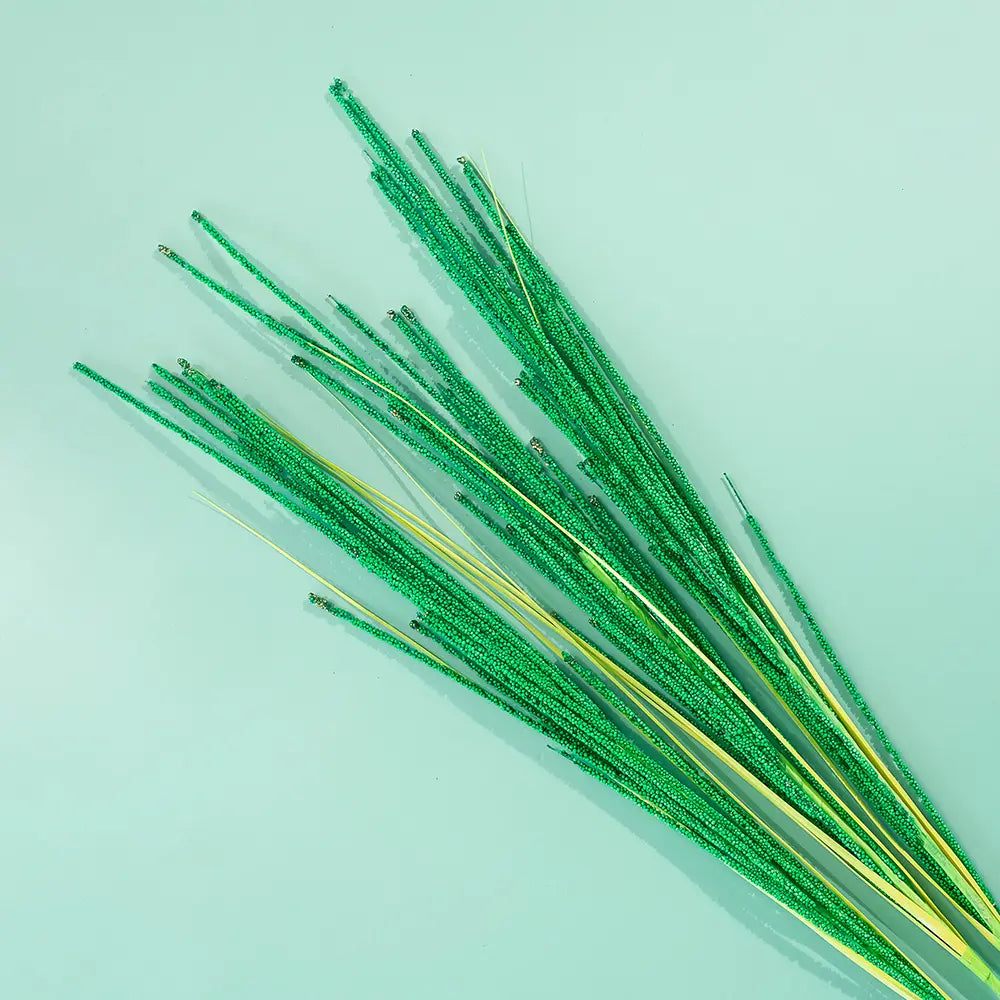 Bead pampas grass - Green