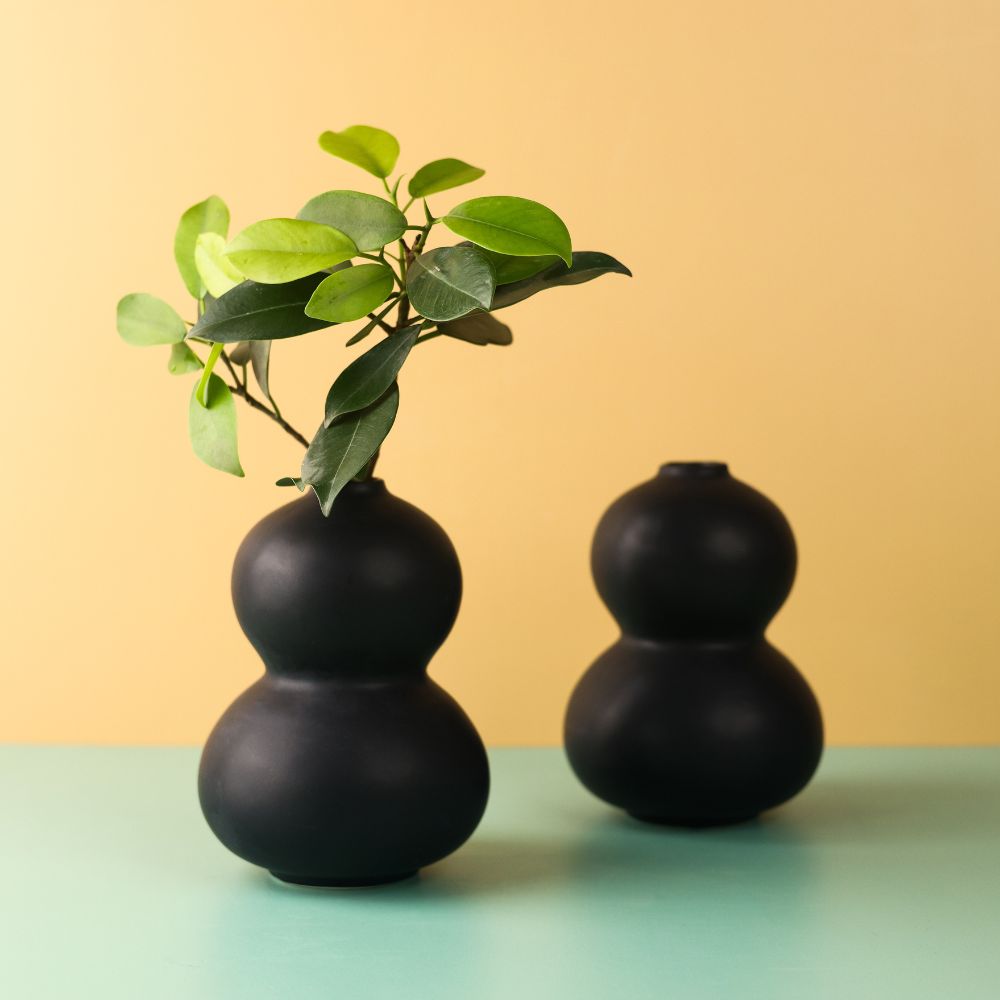 Black Peanut Vase