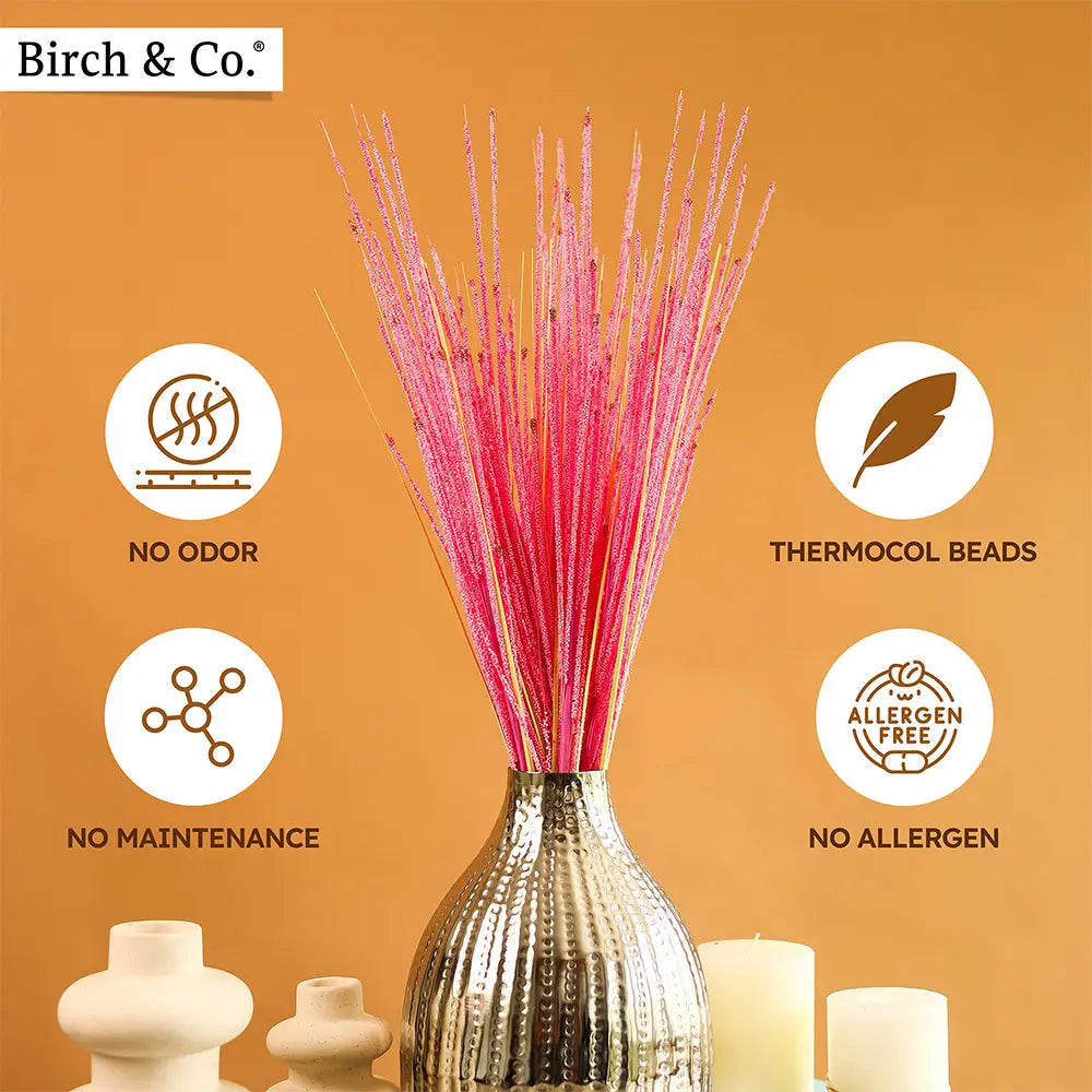 Bead pampas grass - Pink