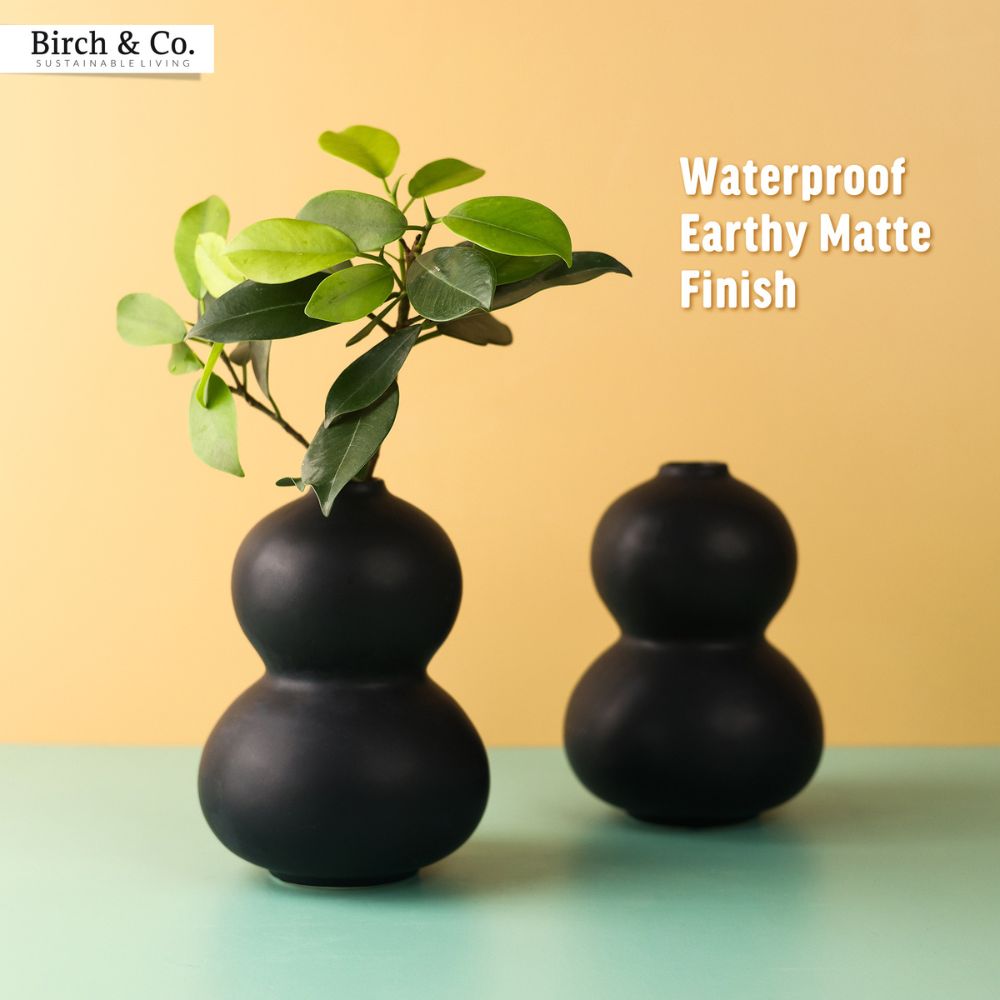 Black Peanut Vase