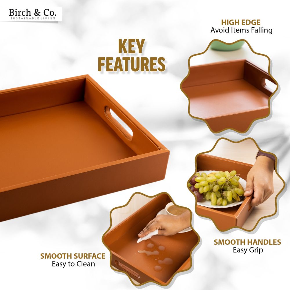 Tan Leather Serving Tray with matching coasters